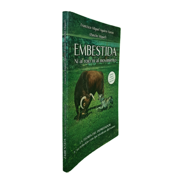 Embestida