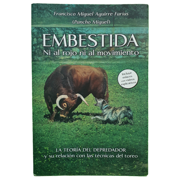 Embestida