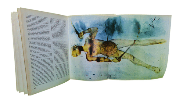 Don Quijote de La Mancha Ilustrado por Salvador Dalí